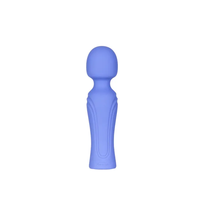 Swan Era Wand Swan Vibrators