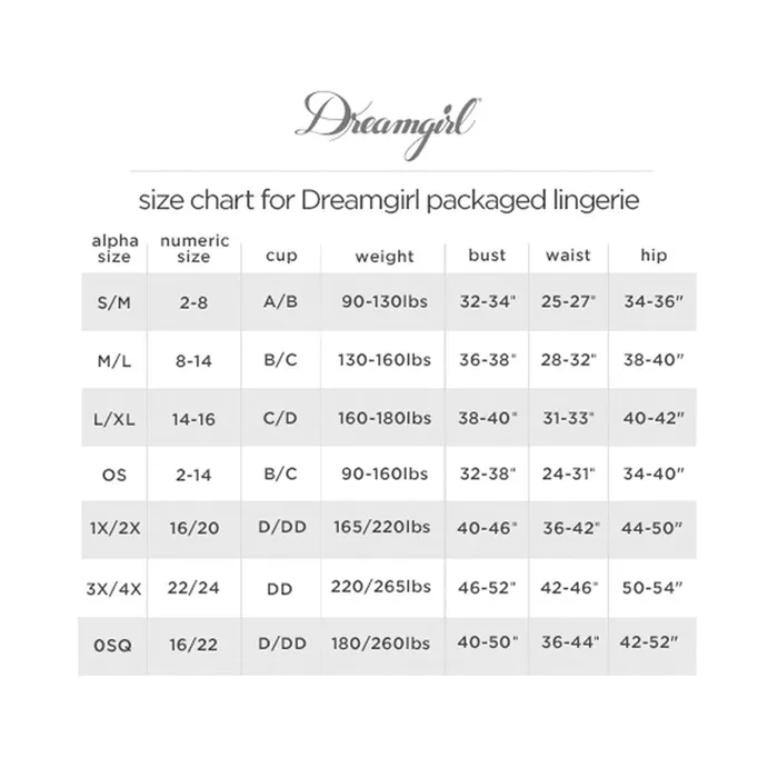DREAMGIRL Bodystockings Playsuits Dreamgirl Lingerie Teddy Bodystocking Black 0355X