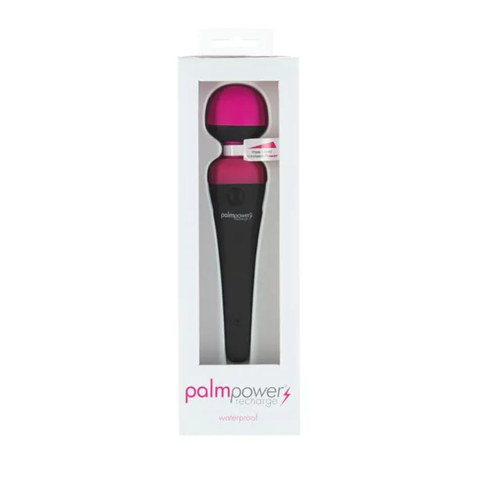 BMS Factory Palm Power Massager Rechargeable Waterproof Female Sex Toys