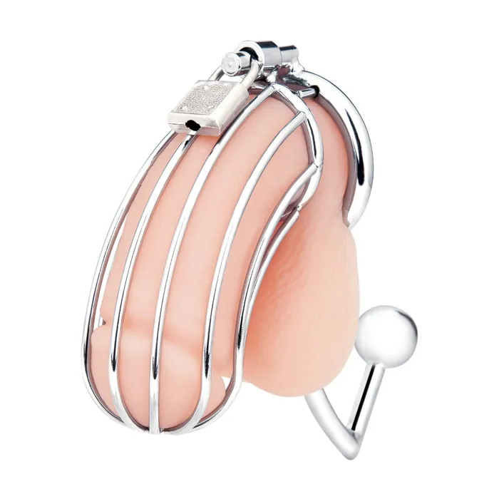 Blue Line Cock Cage With Anal Stimulator Silver Blue Line Male Sex Toys