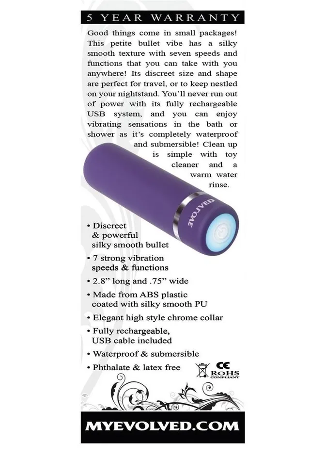 Vibrators Evolved Purple Passion Rechargeable Silky Smooth Bullet