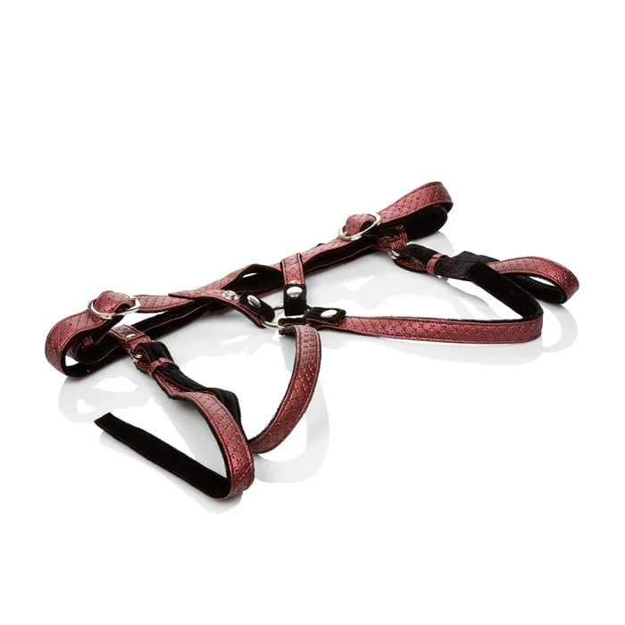 CalExotics Female Sex Toys Her Royal Harness the Regal Duchess Red