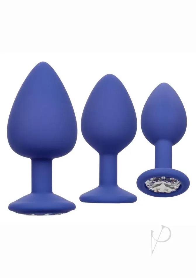 Cheeky Gems Silicone Anal Training Kit Purple Cheeky Anal