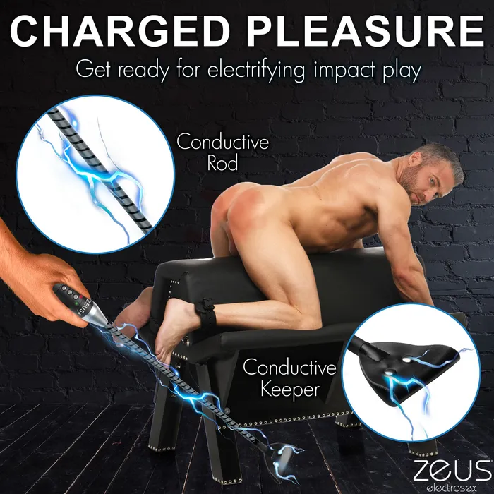 Estim Crop Zeus Electrosex Vibrators