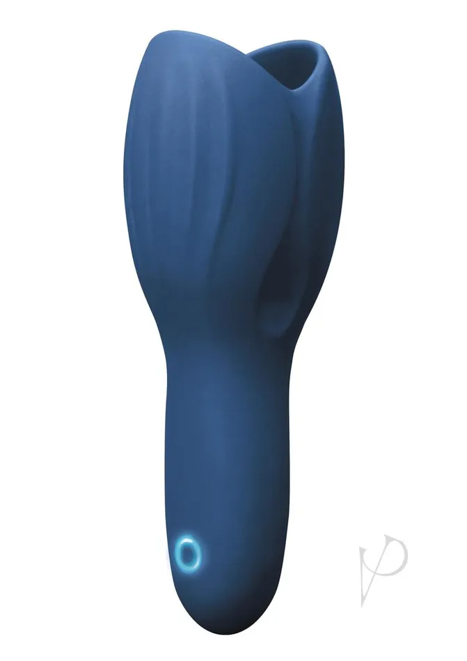 Male Sex Toys Renegade Renegade Rechargeable Silicone Head Unit Masturbator Blue