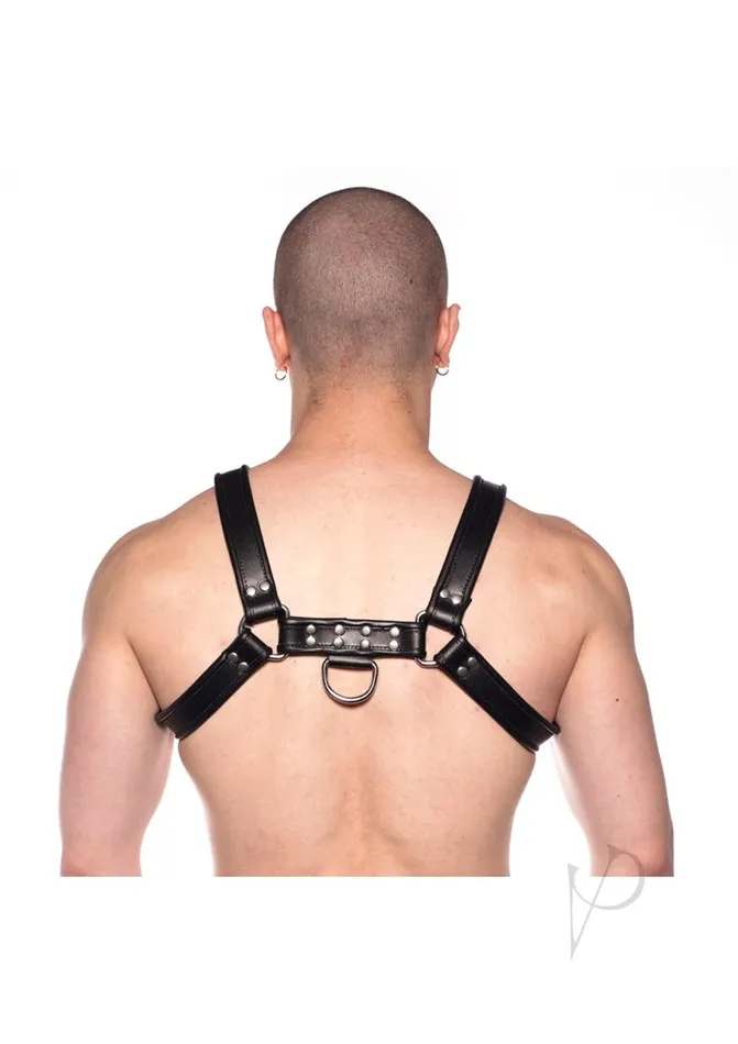 Prowler Red Anal Prowler RED Bull Harness Small Black Prowler Red Anal Prowler RED Bull Harness Small Black