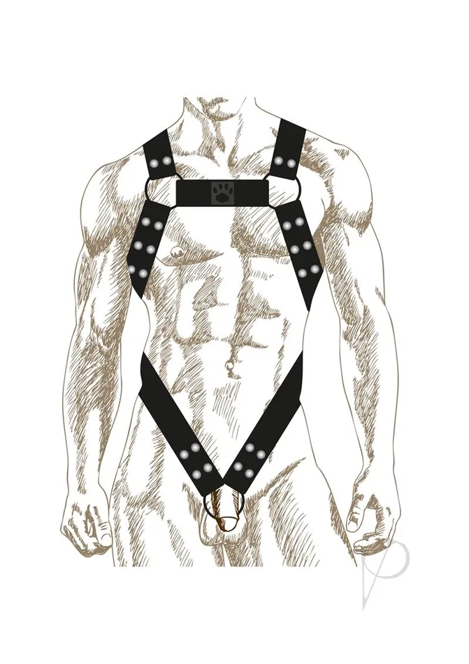 Prowler Red Anal Prowler RED Butch Body Harness XXLarge BlackSilver