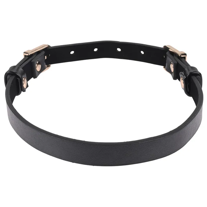 Sex Mischief Double Buckle Day Collar Sportsheets Couples
