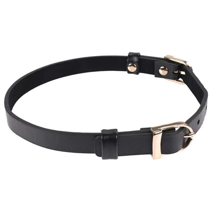 Sex Mischief Double Buckle Day Collar Sportsheets Couples