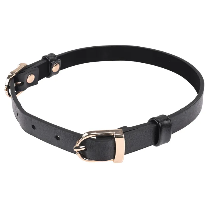 Sex Mischief Double Buckle Day Collar Sportsheets Couples