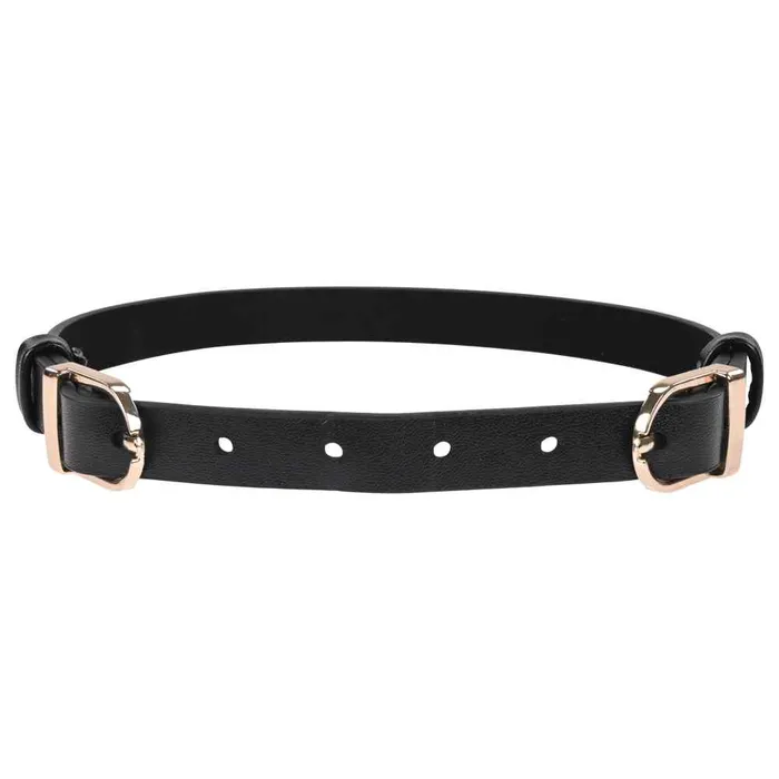 Sex Mischief Double Buckle Day Collar Sportsheets Couples