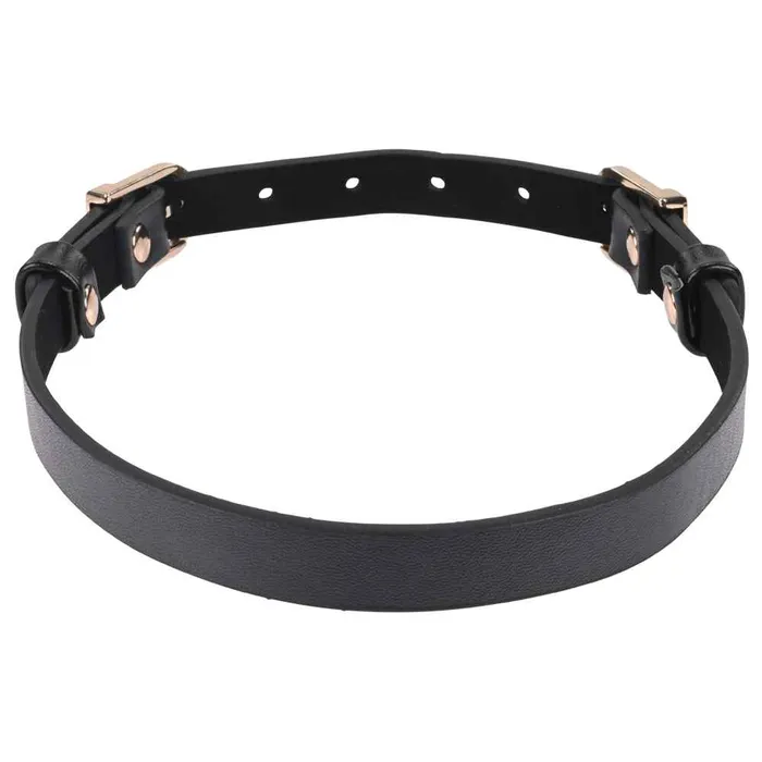 Sex Mischief Double Buckle Day Collar Sportsheets Couples