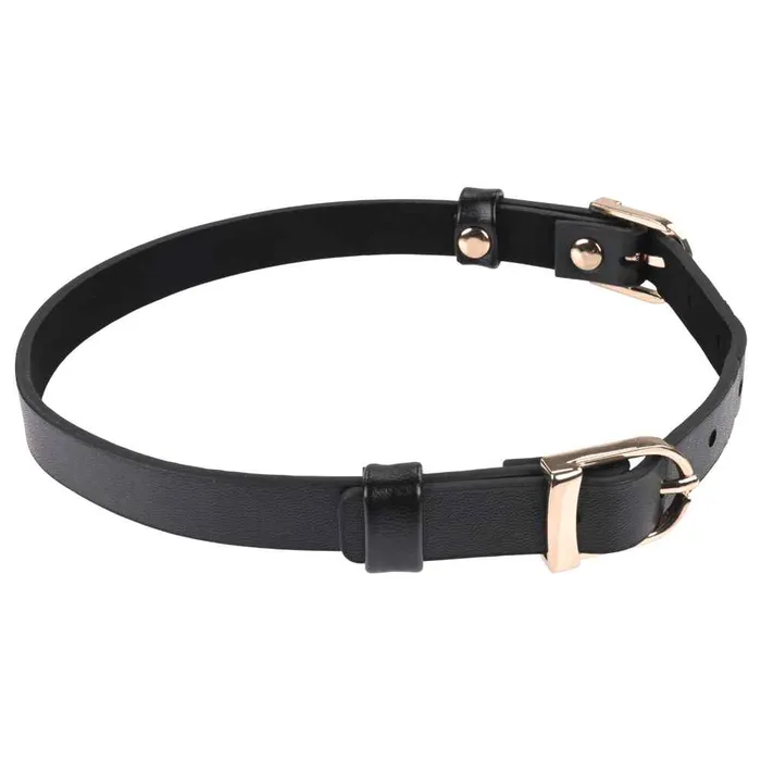 Sex Mischief Double Buckle Day Collar Sportsheets Couples