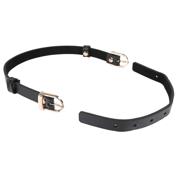 Sex Mischief Double Buckle Day Collar Sportsheets Couples