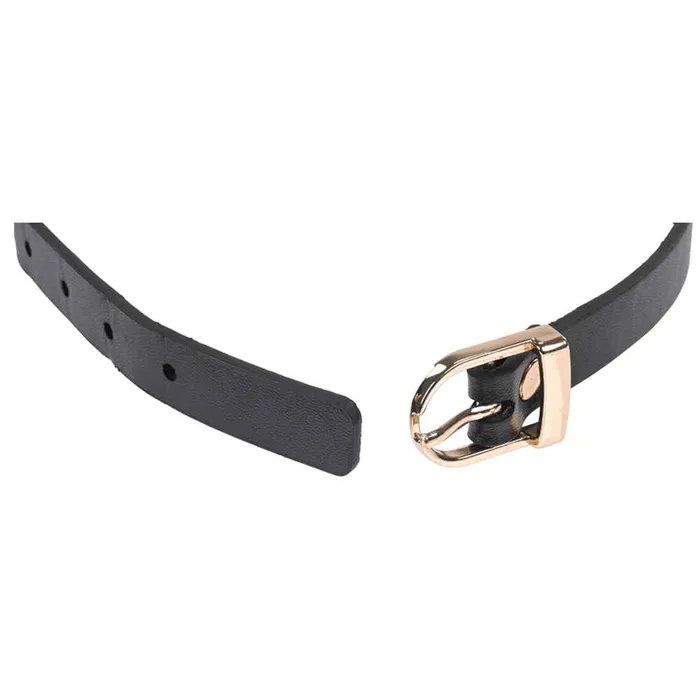 Sex Mischief Double Buckle Day Collar Sportsheets Couples