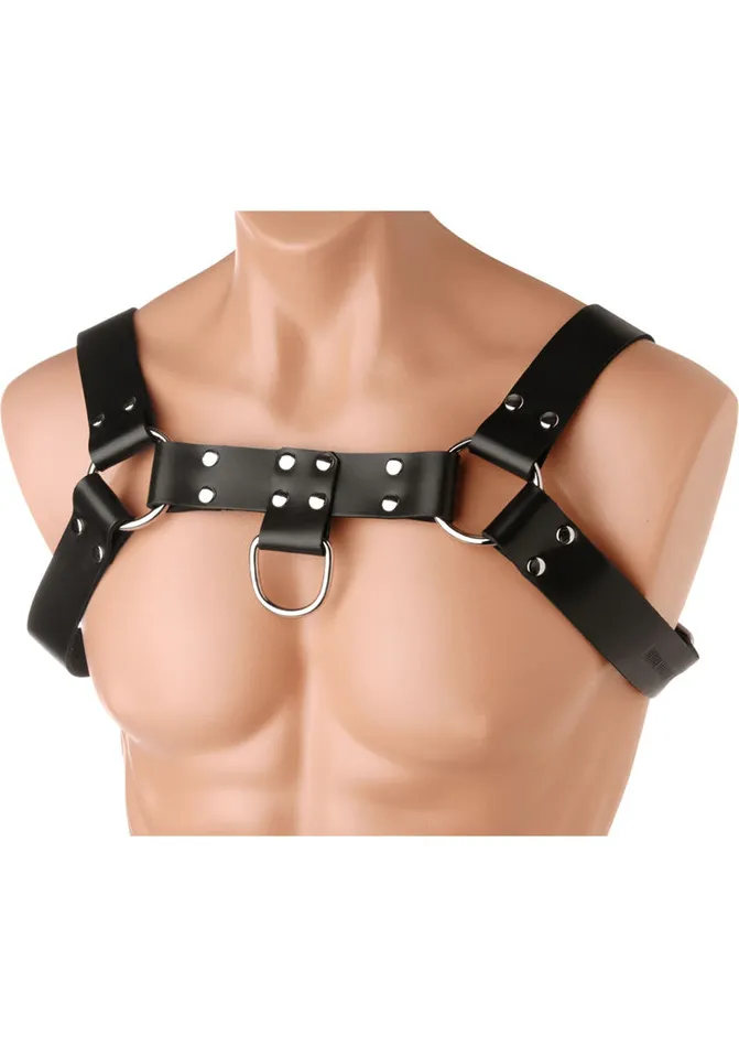 Strict Leather Restraints Strict Leather English Bull Dog Harness Black