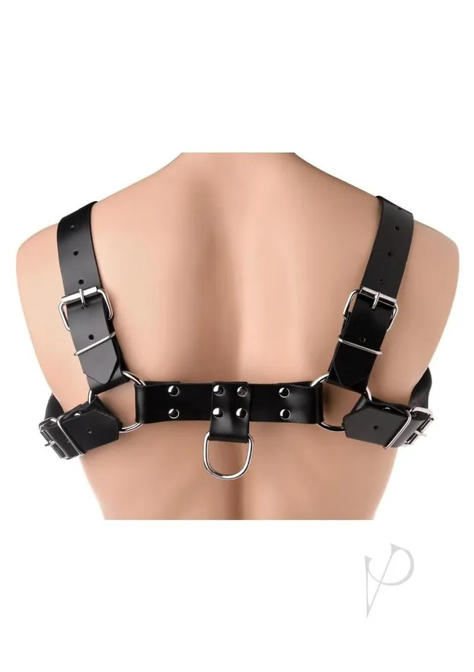 Strict Leather Restraints Strict Leather English Bull Dog Harness Black