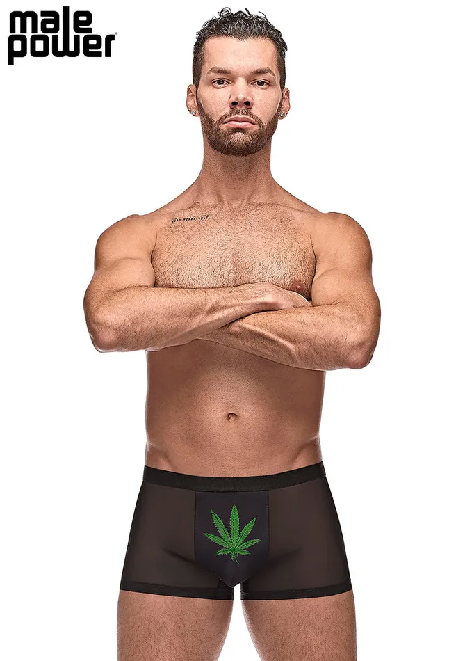 Anal Male Power Private Screening Pot Leaf Pouch Short Black