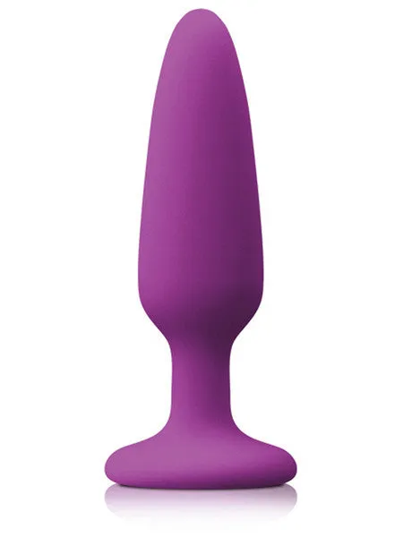 Anal NS Novelties Colors Pleasures Small Plug Purple
