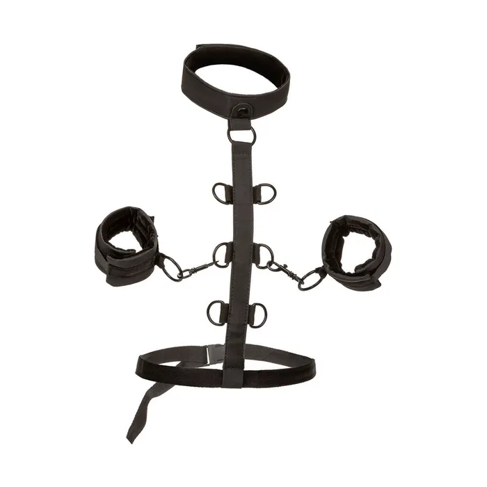 Boundless Collar Body Restraint California Exotic Female Sex Toys