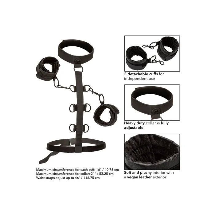 Boundless Collar Body Restraint California Exotic Female Sex Toys