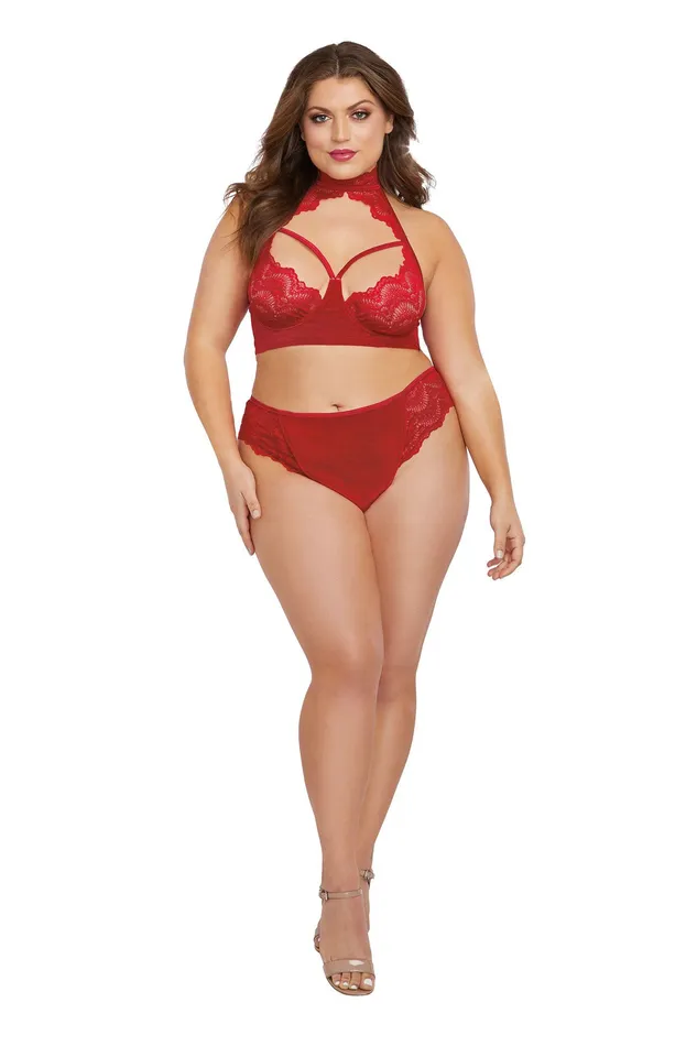 Bra and Panty Queen Size Rouge Dreamgirl Female Sex Toys