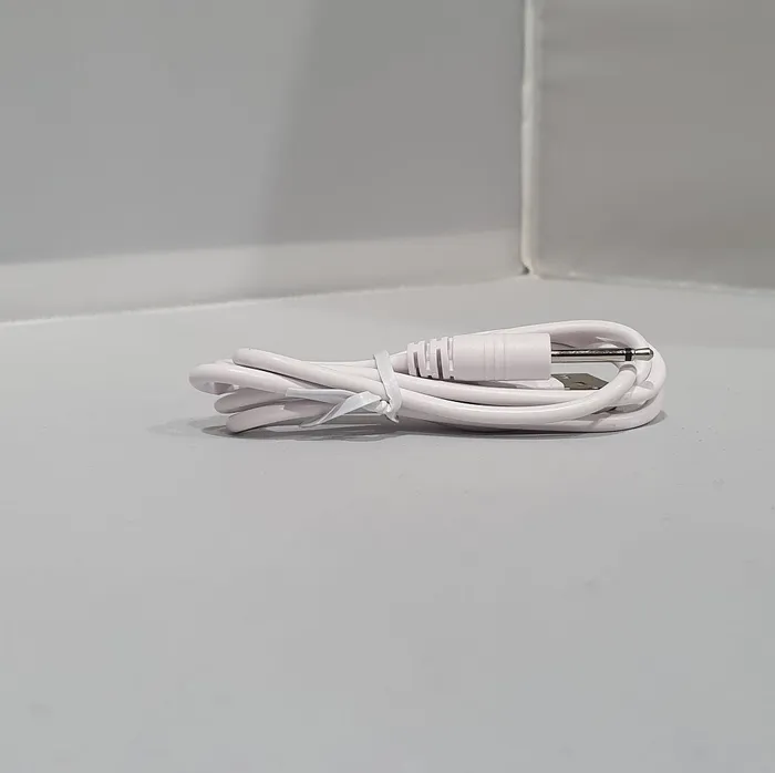 Female Sex Toys BMS Essential Bullet Charger