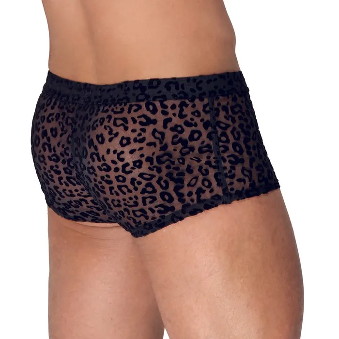 Hosiery Noir Noir Sheer Animal Print Pants Hosiery Noir Noir Sheer Animal Print Pants