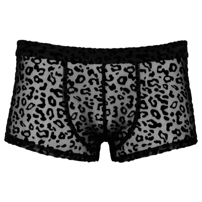 Hosiery Noir Noir Sheer Animal Print Pants Hosiery Noir Noir Sheer Animal Print Pants