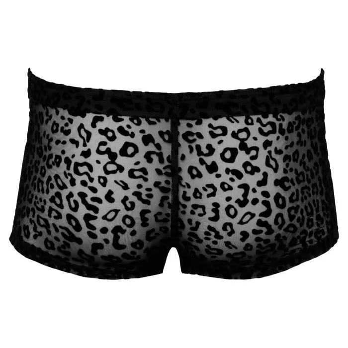 Hosiery Noir Noir Sheer Animal Print Pants Hosiery Noir Noir Sheer Animal Print Pants