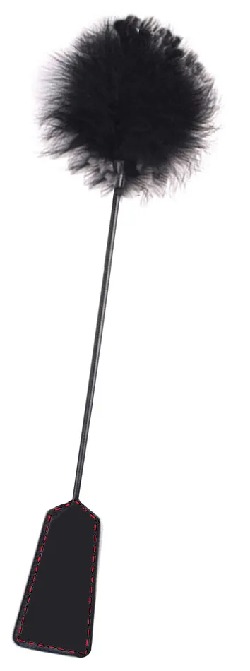 Orange Is the New Black Riding Crop and Tickler Icon Brands Anal