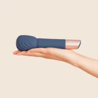 Vibrators Deia Deia The Wand
